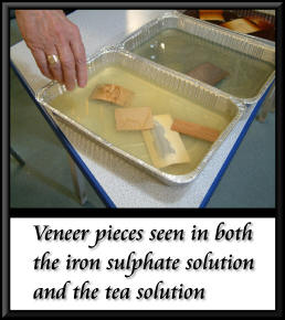 Photo veneers in solution 1