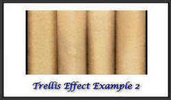 Trellis effect example 2