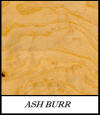 Ash burr - Fraxinus Excelsior
