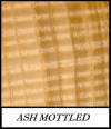 Ash mottled - Fraxinus Excelsior