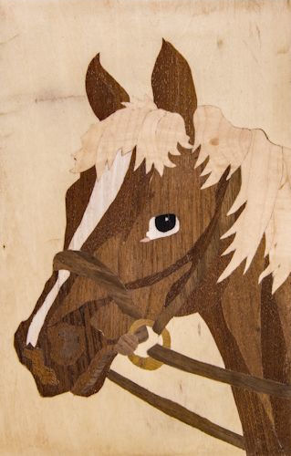 Horse's Head by Sundas Manzoor